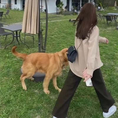 反派 第一季